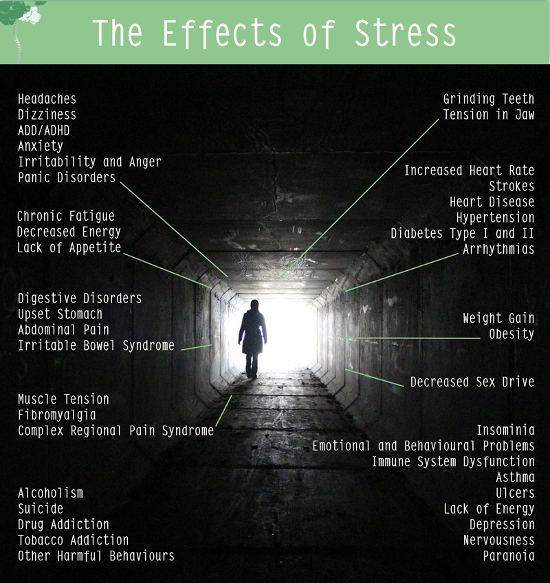 Effects of Stress - Ralph Dinkelmann Body Stress Release Practitioner